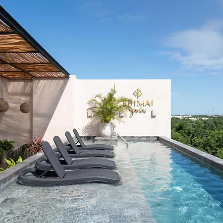 Queen Bed Suite, Infinity Pool & Fast Wifi, Nespresso & Netflix